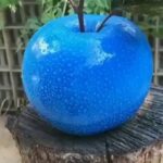 17b0a8e988d0dfbf2fca95736a2627ff